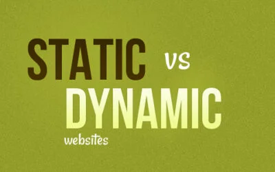 Static Web Design and Dynamic Web Design: What is good for your business?